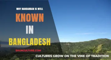 Bandarban's Natural Beauty and Cultural Charm: Bangladesh's Hidden Gem