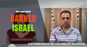 Bangladesh's Israel Ban: Political, Humanitarian, and Solidarity Reasons Explained