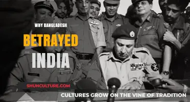 Bangladesh's Shift: Unraveling the Complex Betrayal of India's Trust