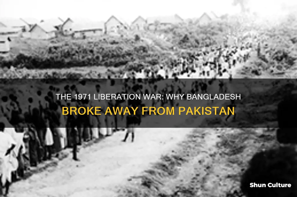 why bangladesh divided from pakistan