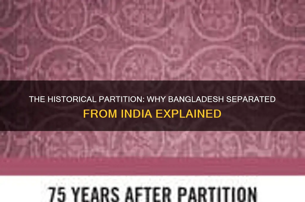 why bangladesh divided into india