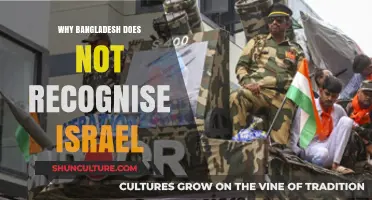 Bangladesh's Stance: Why It Refuses to Recognize Israel's Sovereignty