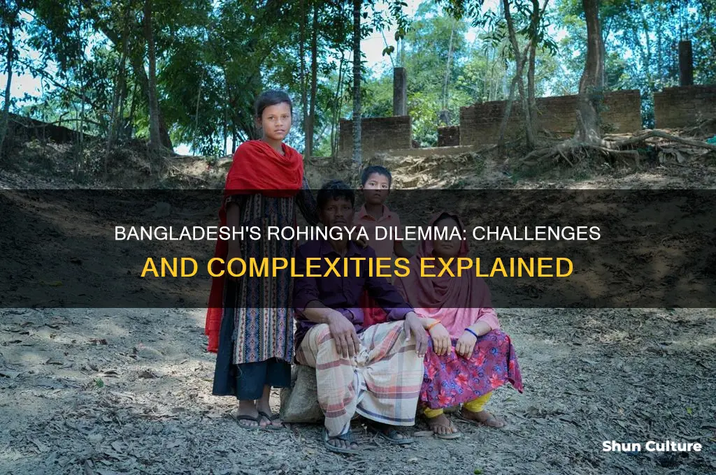 why bangladesh don t want rohingya