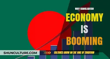 Bangladesh's Economic Boom: Unlocking Growth Secrets and Future Prospects