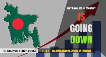 Bangladesh's Economic Decline: Unraveling the Causes and Consequences
