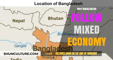 Why Bangladesh Embraces a Mixed Economy: Balancing Growth and Equity
