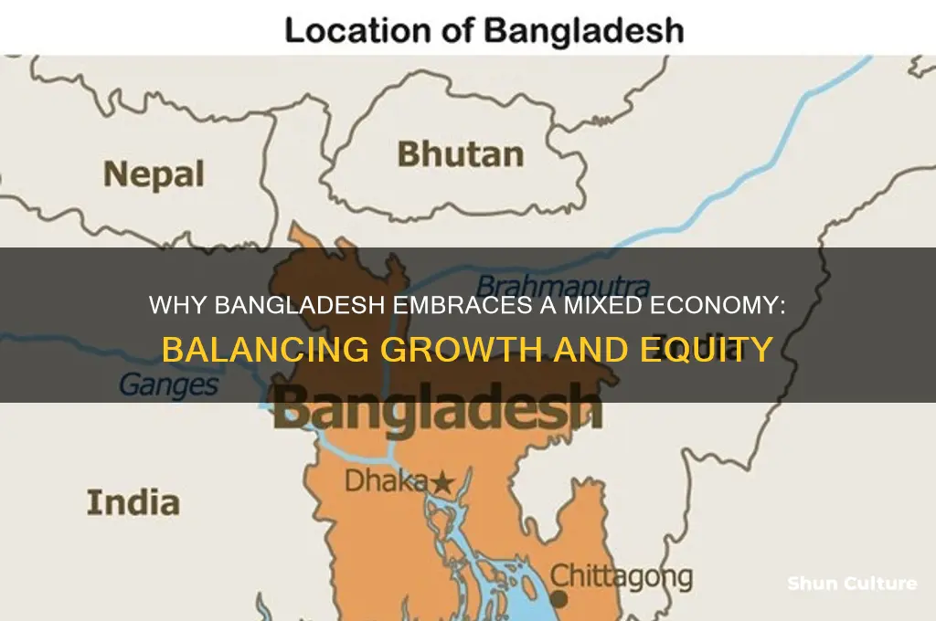 why bangladesh follow mixed economy