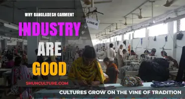 Bangladesh's Garment Industry: Quality, Affordability, and Global Impact Explained