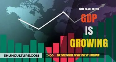 Bangladesh's Economic Boom: Unraveling the Secrets Behind Its Rising GDP