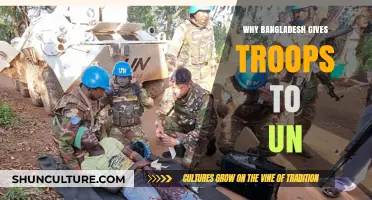 Bangladesh's UN Peacekeeping Role: Motivations and Global Contributions