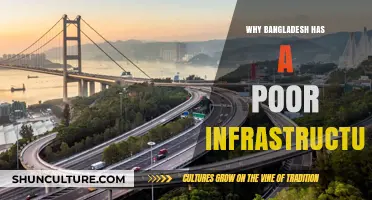 Bangladesh's Infrastructure Crisis: Causes and Consequences of Underdevelopment