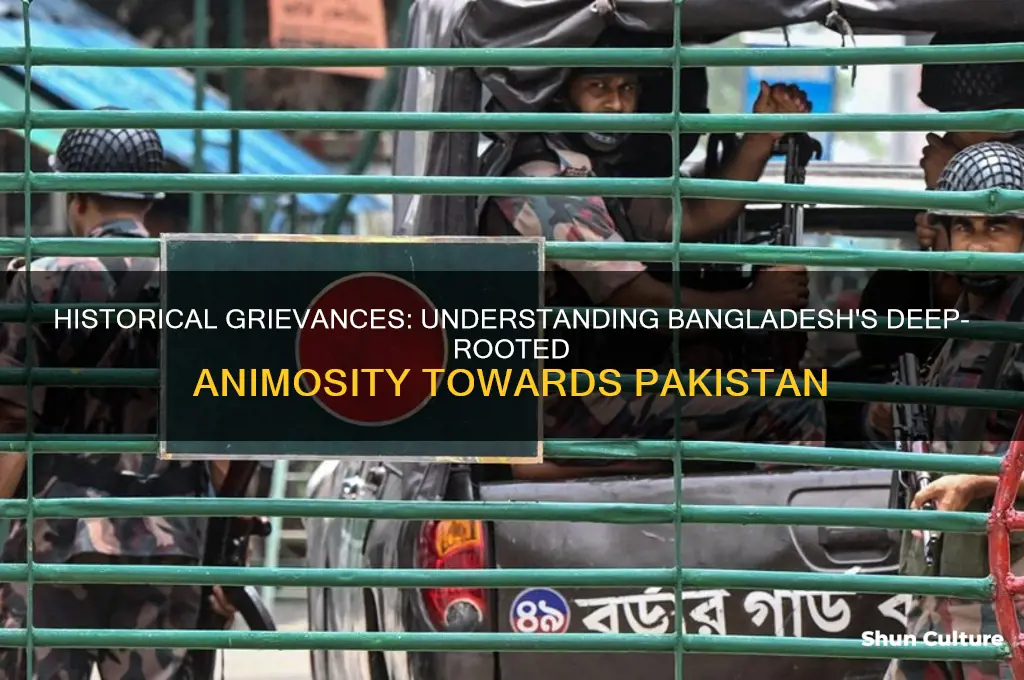 why bangladesh hate pakistan