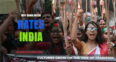 Why Bangladesh Harbors Resentment Towards India: Historical and Political Insights