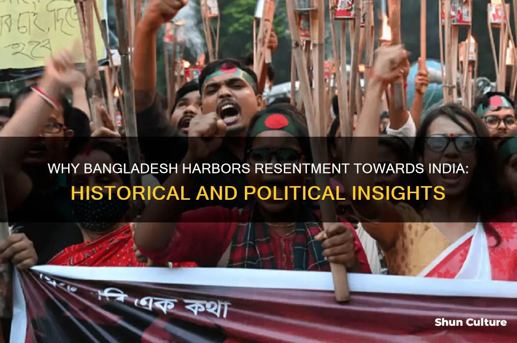 why bangladesh hates india