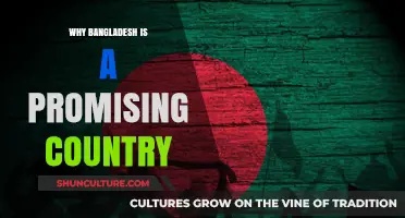 Bangladesh Rising: Unlocking Potential in a Dynamic and Promising Nation