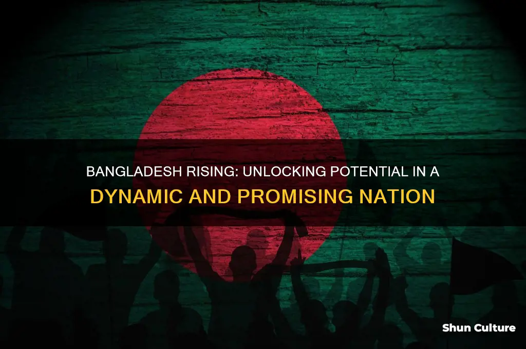 why bangladesh is a promising country