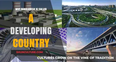 Understanding Bangladesh's Developing Nation Status: Challenges and Progress