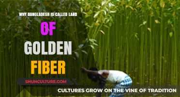 Bangladesh: The Golden Fiber Legacy of Jute's Rich History