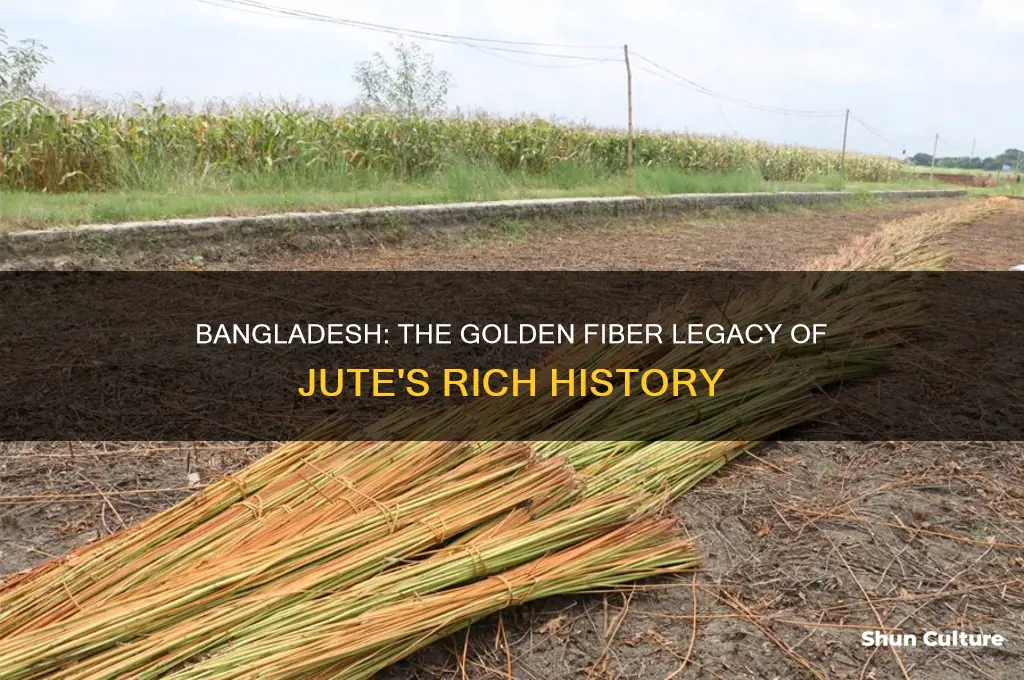 why bangladesh is called land of golden fiber