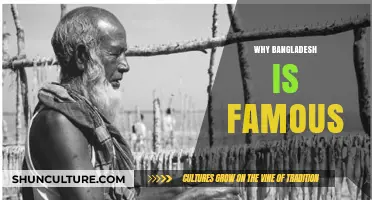Bangladesh's Rich Culture, History, and Natural Wonders: A Global Icon