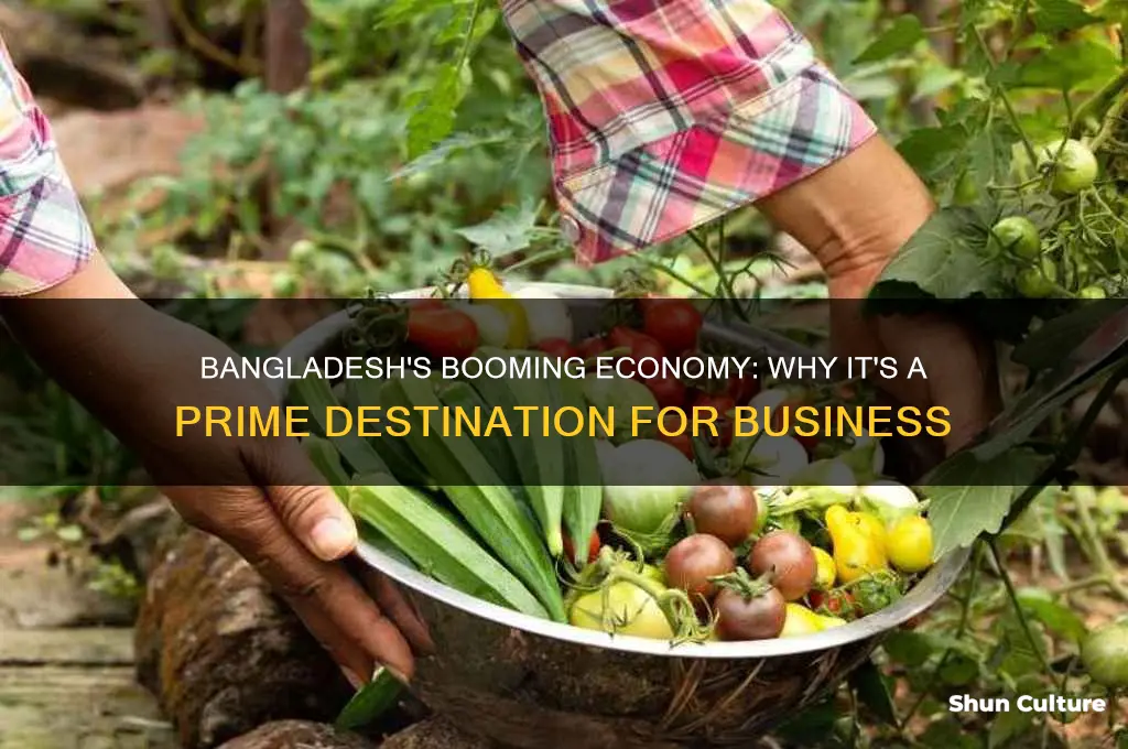 why bangladesh is good for business