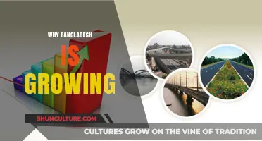 Bangladesh's Economic Rise: Unlocking Growth Secrets and Future Potential