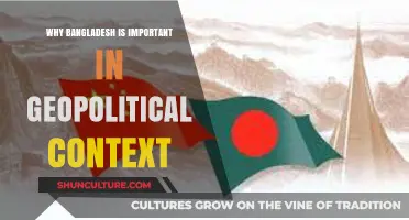 Bangladesh's Geopolitical Significance: A Strategic Hub in South Asia