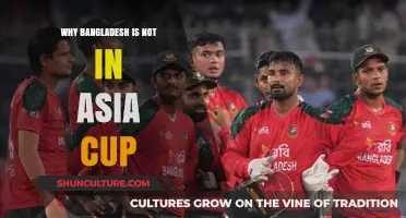 Bangladesh's Asia Cup Absence: Unraveling the Surprising Exclusion