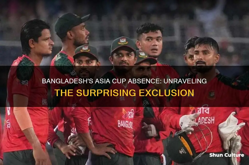 why bangladesh is not in asia cup