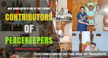 Bangladesh's Global Peacekeeping Leadership: Commitment, Impact, and Dedication