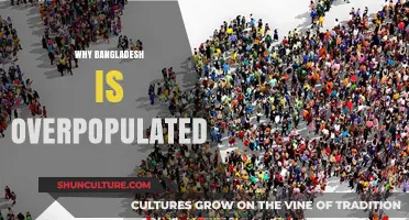 Overpopulation in Bangladesh: Causes, Challenges, and Sustainable Solutions