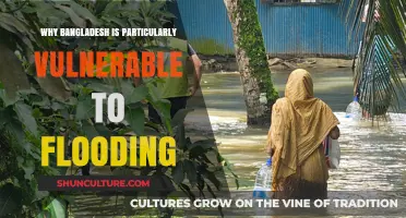 Bangladesh's Flood Vulnerability: Geography, Climate, and Human Factors Explained