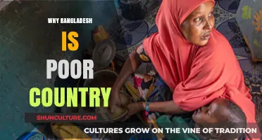 Understanding Bangladesh's Poverty: Historical, Economic, and Social Factors Explained
