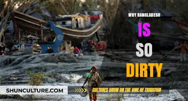Exploring the Root Causes of Bangladesh's Widespread Environmental Pollution