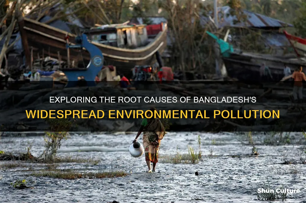 why bangladesh is so dirty