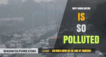 Bangladesh's Pollution Crisis: Causes, Impacts, and Urgent Solutions Needed