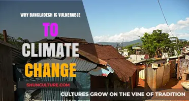 Bangladesh's Climate Crisis: Geography, Poverty, and Rising Risks Explained