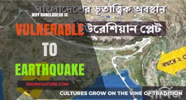 Bangladesh's Earthquake Vulnerability: Causes, Risks, and Preparedness Measures