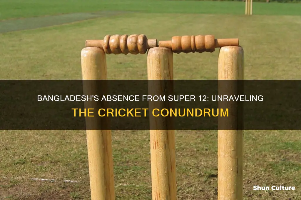 why bangladesh not in super 12