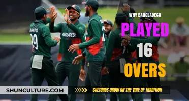 Bangladesh's 16-Over Match: Unraveling the Cricket Conundrum