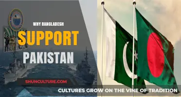 Bangladesh's Unwavering Support for Pakistan: Historical Bonds and Shared Interests