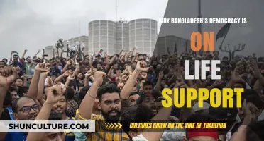 Bangladesh's Democracy Crisis: A Fragile System on Life Support