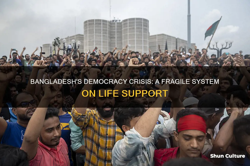 why bangladesh
