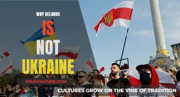 The Uniqueness of Belarus: Why It's Not Ukraine