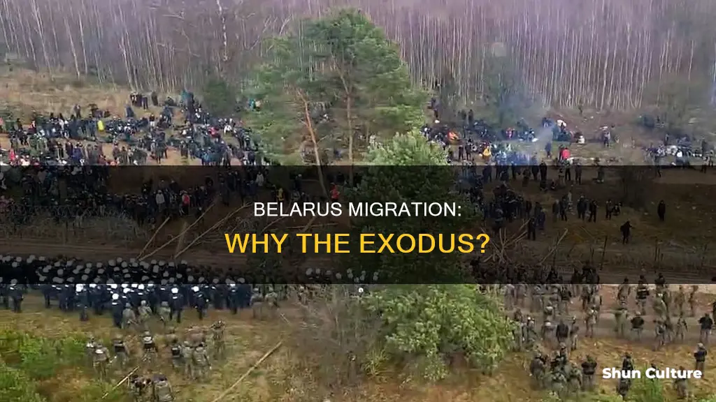 why belarus migration