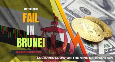 Bitcoin's Failure in Brunei: Why It Didn't Work