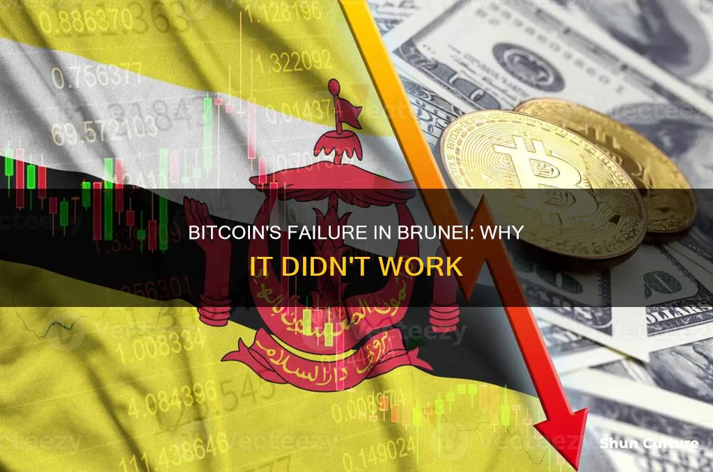 why bitcoin fail in brunei