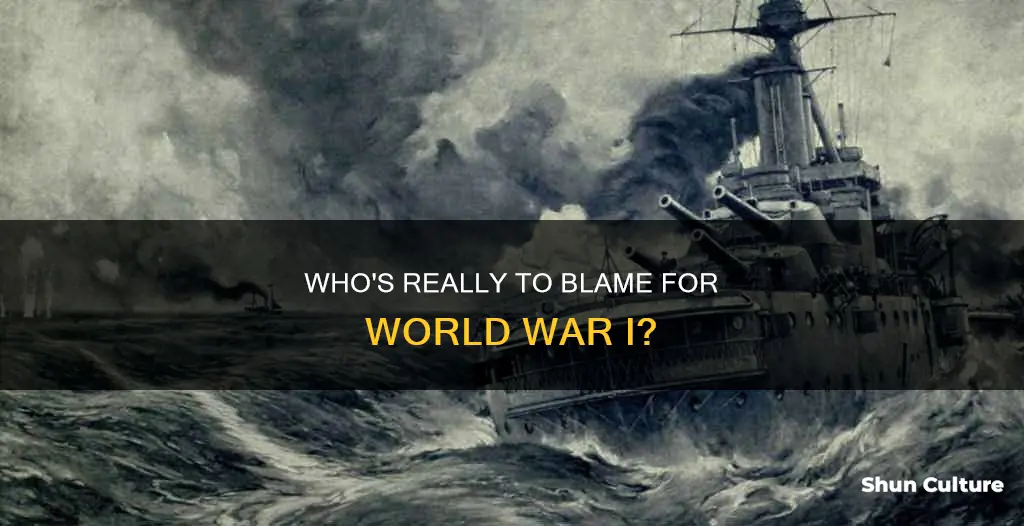 why blame germany for wwi not austria hungary
