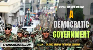 Bolivia's Struggle for Democracy: A Complex History