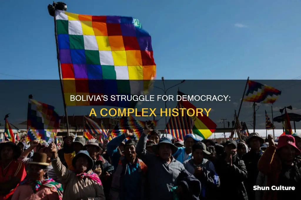 why bolivia does not have a democratic government